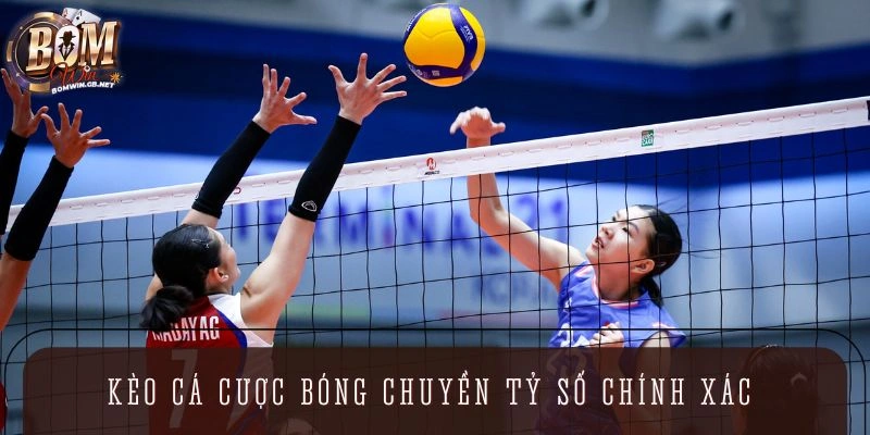 Kèo cá cược bóng chuyền tỷ số chính xác 