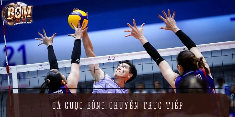 Dự đoán bóng chuyền trực tiếp 