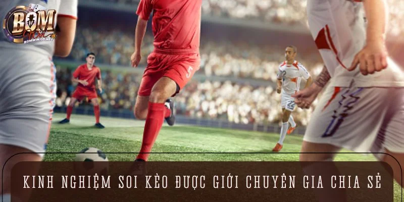 Kinh nghiệm soi kèo “trúng từng trận” được giới chuyên gia chia sẻ