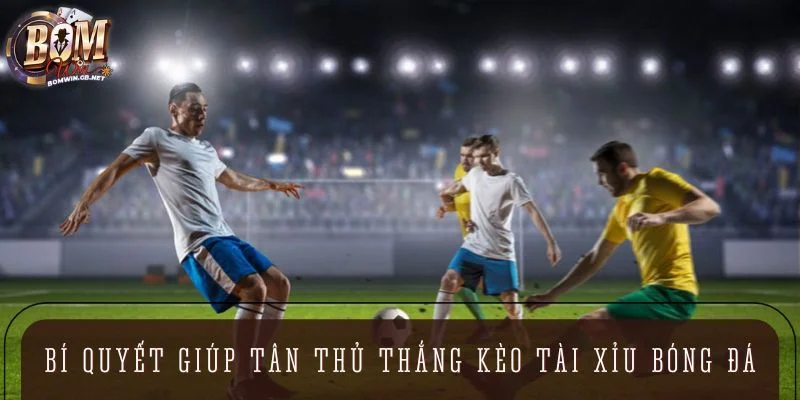 Bí quyết giúp tân thủ dễ dàng thắng khi chơi kèo Tài Xỉu bóng đá