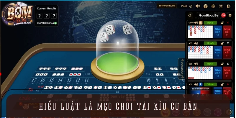 Hiểu chính xác luật là mẹo chơi tài xỉu cơ bản